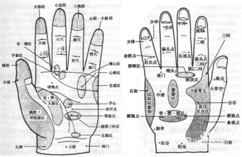 食指代表器官|五个手指对应哪些脏腑？！你知道吗